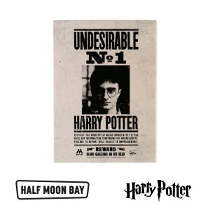 MAGMHP48 Magnet - Harry Potter Undesirable No1 